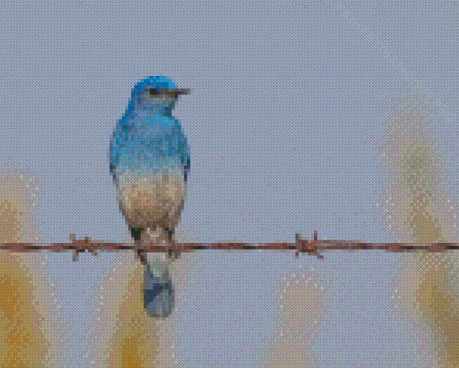 Bluebird On Wire Diamond Painting