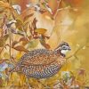 Bobwhite Diamond Paintings