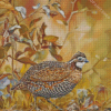 Bobwhite Diamond Paintings