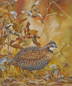 Bobwhite Diamond Paintings