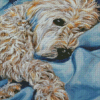 Brittany Spaniel Dog Diamond Paintings