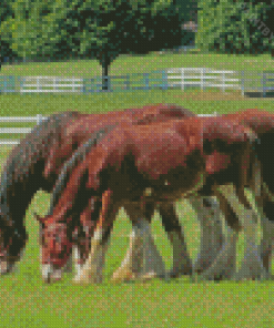 Brown Clydesdales In Farm Diamond Painting