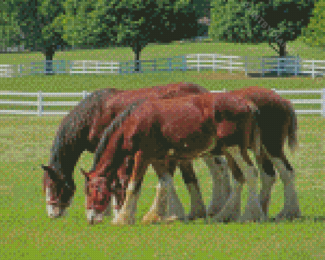 Brown Clydesdales In Farm Diamond Painting