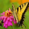 Butterfly And Bee On Flower Diamond Painting