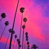 California Pink Sunset With Palm Tree Diamond Painting