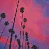 California Pink Sunset With Palm Tree Diamond Painting