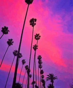 California Pink Sunset With Palm Tree Diamond Painting