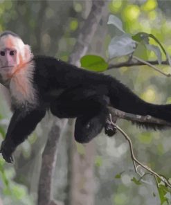 Capuchin Monkey On Branch Diamond Painting