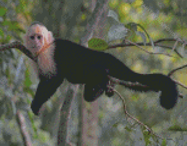 Capuchin Monkey On Branch Diamond Painting