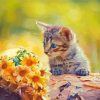 Cat And Yellow Flowers Diamond Paintings