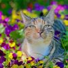 Cat In Flowers Diamond Paintings