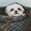 Chanel Dog In Bag Diamond Painting