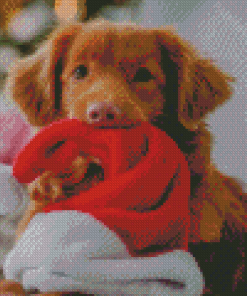 Christmas Nova Scotia Duck Toller Diamond Painting