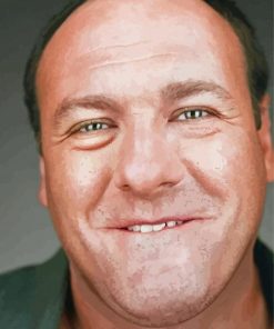 Close Up James Gandolfini Diamond Painting