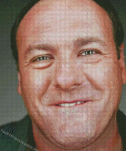 Close Up James Gandolfini Diamond Painting