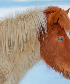 Close Up Icelandic Horse With Blue Eyes Diamond Painting