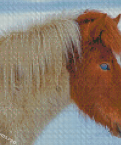 Close Up Icelandic Horse With Blue Eyes Diamond Painting