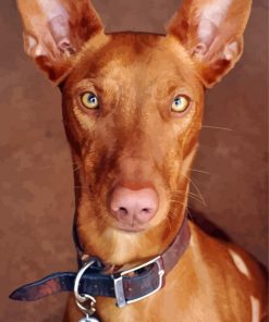 Close Up Pharaoh Hound Diamond Painting