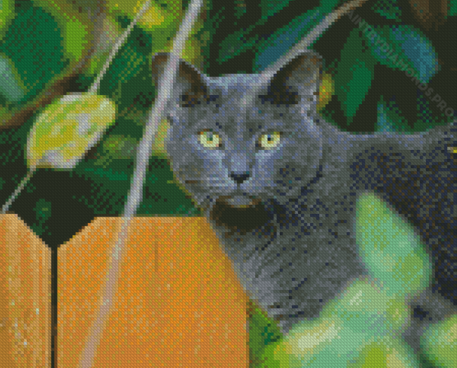 Dark Grey Korat Cat Diamond Painting