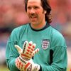 David Seaman Goalkeeper Diamond Painting