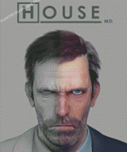 Dr House Serie Diamond Paintings