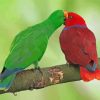 Eclectus Parrots Diamond Paintings