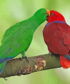 Eclectus Parrots Diamond Paintings