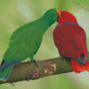 Eclectus Parrots Diamond Paintings