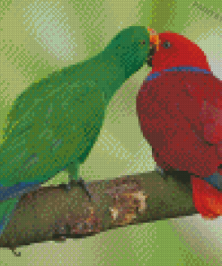 Eclectus Parrots Diamond Paintings