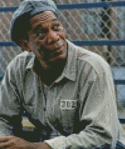 Ellis Boyd Redding From Shawshank Redemption Diamond Painting