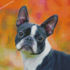 Female Boston Terrier Diamond Painting