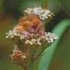 Field Mouse In Flowers Diamond Painting