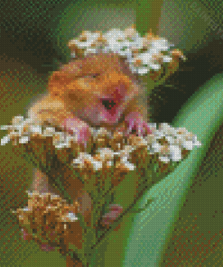 Field Mouse In Flowers Diamond Painting