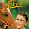 Flicka Movie Diamond Painting