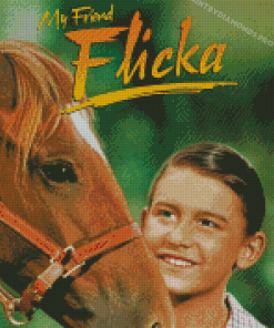 Flicka Movie Diamond Painting