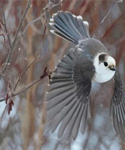 Flying Whiskey Jack Bird Diamond Painting