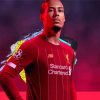 Footballer Virgil Van Dijk Diamond Painting