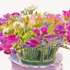 Freesia Flowers Diamond Painting