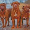 French Mastiff Dogs Diamond Painting