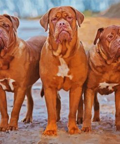 French Mastiff Dogs Diamond Painting