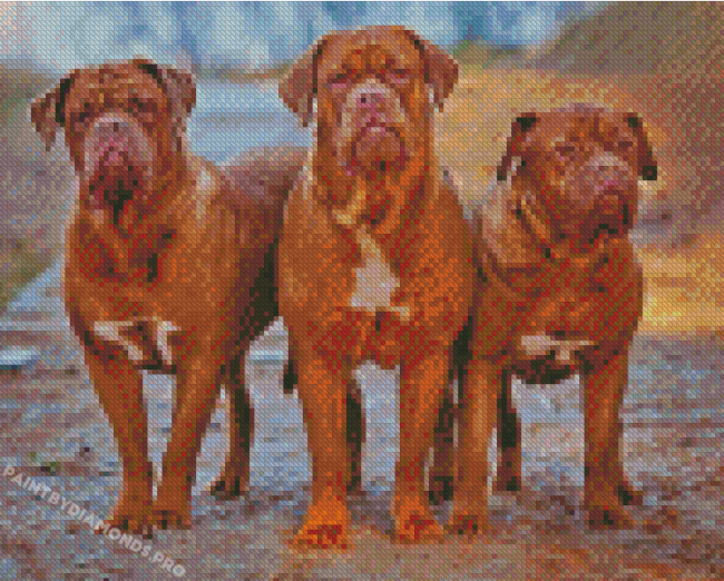 French Mastiff Dogs Diamond Painting