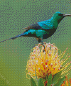 Green Sunbird Diamond Painting