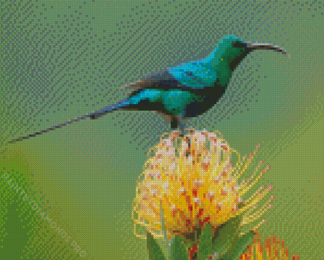 Green Sunbird Diamond Painting