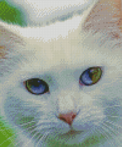 Green And Blue Eyed Cat Diamond Painting