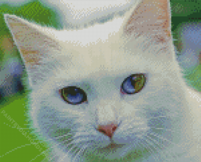 Green And Blue Eyed Cat Diamond Painting