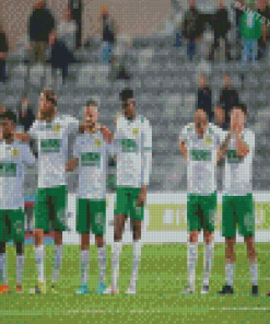 Hammarby Fotboll Players Diamond Painting