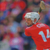 Hurling Irish Sport Diamond Paintings