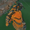 Insect Death Moth Diamond Painting