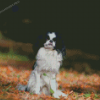 Japanese Chin Diamond Painting