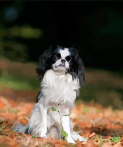 Japanese Chin Diamond Painting